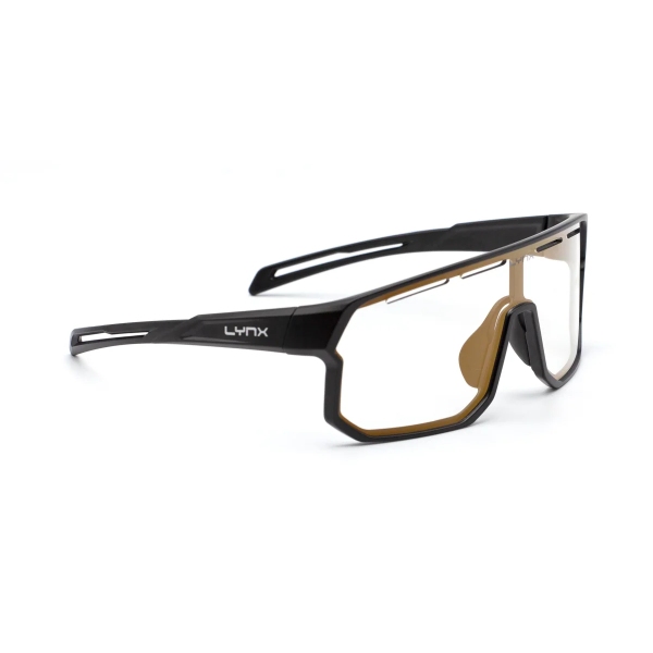 Окуляри фотохромні LYNX Bismarck PH B Matt Black / Smoke Photochromic with Gold Revo