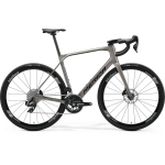 Велосипед MERIDA Scultura Endurance RIVAL EDITION Warm Slate Grey - M