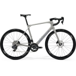 Велосипед MERIDA Scultura Endurance RIVAL EDITION Silk Grey - XS