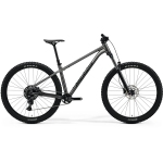 Велосипед MERIDA Big.Trail 300 Gunmeral Grey - S