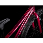 Велосипед TREK Precaliber 24