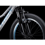 Велосипед TREK Precaliber 20