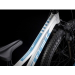 Велосипед TREK Precaliber 20