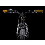 Велосипед TREK Precaliber 20