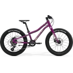 Велосипед MERIDA Matts J.20+ Purple(Black/Champagne)