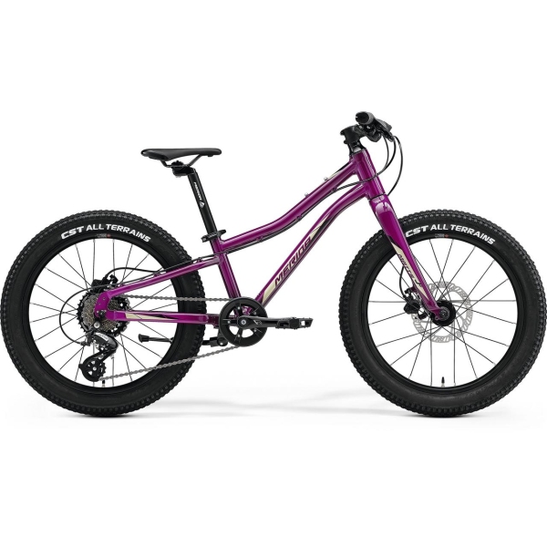 Велосипед MERIDA Matts J.20+ Purple(Black/Champagne)