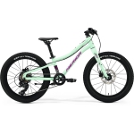 Велосипед MERIDA Matts J.20+ I3 Matt Mint - UNI (10)
