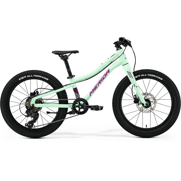 Велосипед MERIDA Matts J.20+ I3 Matt Mint - UNI (10)