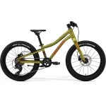 Велосипед MERIDA Matts J.20+ I3 Fall Green - UNI (10)