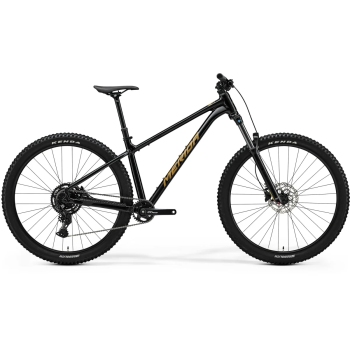Велосипед MERIDA Big.Trail 300 II1